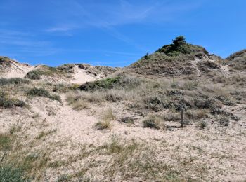 Tour Nordic Walking Cucq - Stella plage Isabelle  - Photo