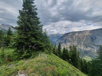 Trail Walking Saint-Paul-sur-Ubaye - rando serre de l aut 6/07/2021 - Photo