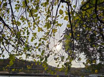 Tour Wandern Oupeye - Hermalle-sous-Argenteau  - Photo