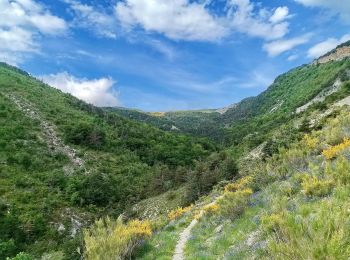 Randonnée Marche Le Saix - Montagne d'Aujour en boucle - Photo