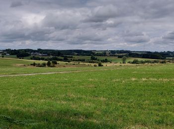 Trail Walking Habay - Anlier 310721 - Photo