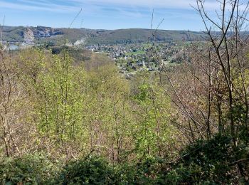 Trail Walking Profondeville - PROFONDEVILLE Marche Adep _ Namur _ 18/04/2022 - Photo