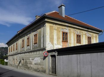 Percorso A piedi Ottensheim - Ottensheim Giselawarte - Photo