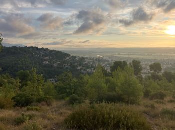 Tocht Trail Sainte-Tulle - Trou du Loup(12,5K 330D+) - Photo