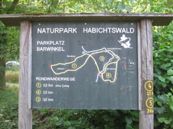 Trail On foot Baunatal - Kirchbauna - Bensberg - Photo