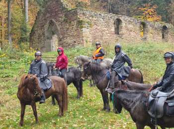 Tocht Paardrijden Soucht - Speckbronn-Moulin de Ratzwiller- Speckbronn - Photo
