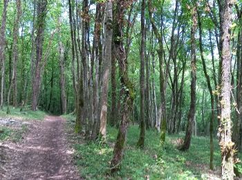 Trail Walking Souligny - Souligny 26km,DC+730m le 27/05/2021 - Photo