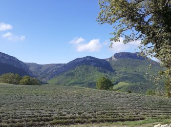 Randonnée Marche Piégros-la-Clastre - lavande, Helene - Photo