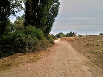 Randonnée A pied Cobeña - Ruta 4: Valle de Arriba y el Alfalfar - Photo