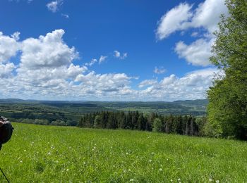 Excursión sport Rosières-sur-Barbèche - Rosière sur Barbeche  - Photo