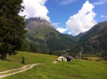 Trail On foot Breno - Gaver - Monte Bruffione - Malga Bruffione - Photo