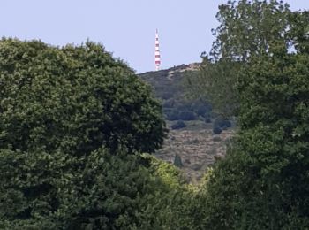 Randonnée Marche Pradelles-Cabardès - Pradelles Cabardès - Photo