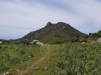 Randonnée Marche Ajaccio - Crète de la punta Lisa Antenne  - Photo