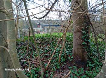 Trail Walking Namur - beez reco - Photo