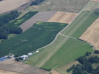 Randonnée A pied Neuensorger Forst - Lichtenfelser Nordweg - Photo