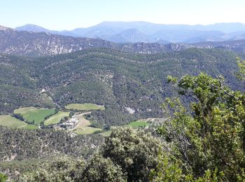 Excursión Senderismo Nyons - Montagne de Vaux - Photo