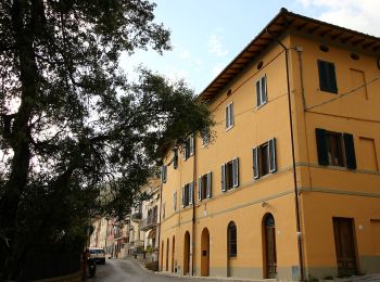 Trail On foot San Giuliano Terme - 