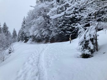 Trail Snowshoes La Clusaz - Le Clusaz  - Photo