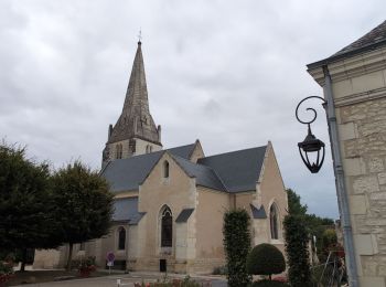 Percorso Marcia Lémeré - Lémeré le Coudray - Château du Rivau Lémeré - 11.2km 115m 2h25 - 2024 08 18 - Photo