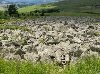 Excursión Senderismo Le Béage - Le tour des cinq sucs au départ du Béage - Photo