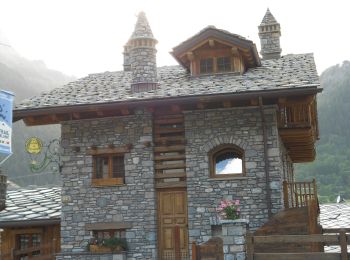 Excursión A pie Courmayeur - Alta Via n. 1 della Valle d'Aosta - Tappa 17 - Photo