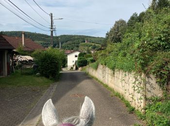 Trail Horseback riding Saint-Quirin - Vasperviller saint quirin  - Photo