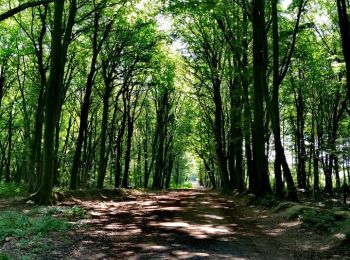Trail Walking Seraing - Bois de la Vecquée   - Photo
