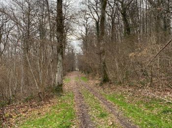 Trail Walking Gourdon - Moulin du Bost - Photo