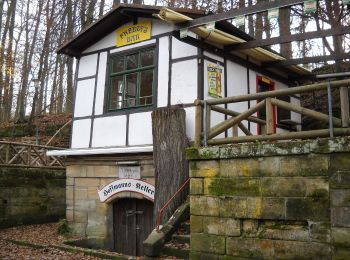 Tour Zu Fuß Forchheim - Zielwanderweg Forchheim- Reifenberg - Photo