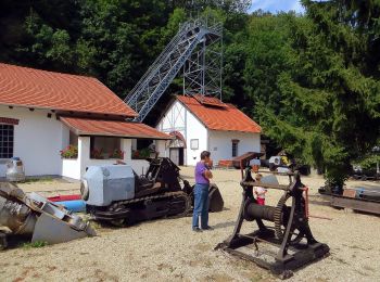 Excursión A pie Ajka - SO (Ajka vá. - Jakab-kút, Bányászati Múzeum) - Photo