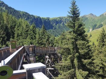 Tour Zu Fuß Saalbach-Hinterglemm - Talschluss Höhenweg - Photo