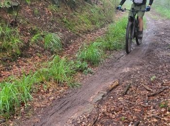 Tocht Elektrische fiets Badonviller - rando des lacs 2024 - Photo