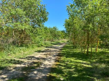 Tocht Stappen Torreilles - Boulistes Cave Bourdi Moulin - Photo