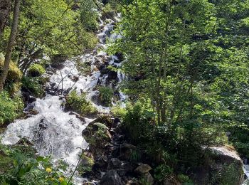Randonnée Marche Les Deux Alpes - Lac Lauvitel depuis Venosc - Photo