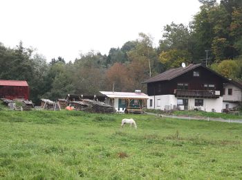 Randonnée A pied Lichtenfels - Bucher Weg (Buch am Forst) - Photo