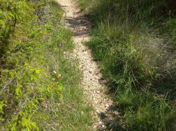 Trail Walking Gigors-et-Lozeron - 26 st supporte gigors - Photo