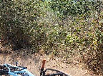 Excursión Bici de montaña Loubeyrat - camping GCU loubeyrat, gour de tazenat - Photo