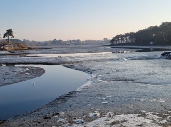 Tocht Stappen Baden - Arradon port blanc 2 mars 2023 CA - Photo