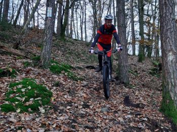 Trail Mountain bike Neufmanil - 20191122 vttae Focus départ Neuneu casse derailleur - Photo