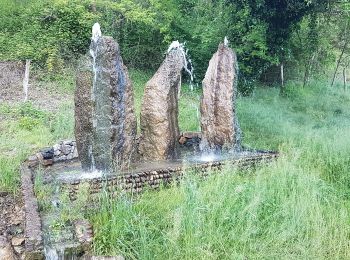 Tour Zu Fuß San Pietro Mussolino - Sentiero Amico - Photo