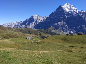 Tocht Stappen Grindelwald - Lacs de Bashsee - Photo