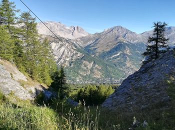 Trail On foot Bardonecchia - IT-743 - Photo