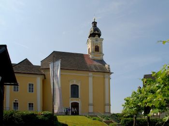 Percorso A piedi Sankt Martin im Sulmtal - Große Runde - Photo