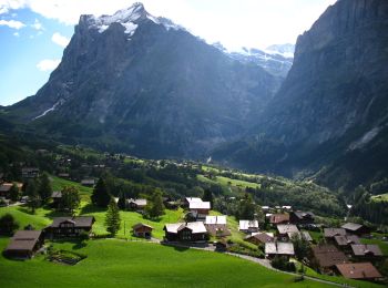Tocht Te voet Grindelwald - Holewang - fixme - Photo