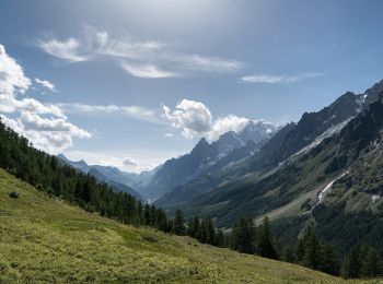 Tocht Te voet Saint-Rhémy-en-Bosses - Alta Via n. 1 della Valle d'Aosta - Tappa 16 - Photo