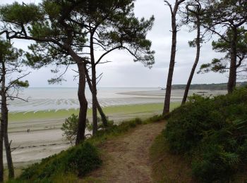 Randonnée Marche Hillion - Anse de Morieux (Hillion) - Photo