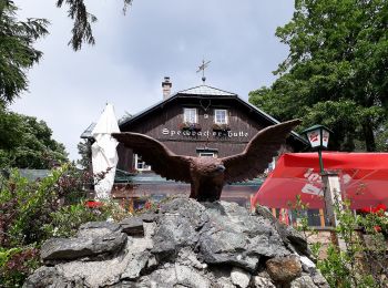 Excursión A pie Gemeinde Reichenau an der Rax - Reichenau - Speckbacher Hütte - Photo