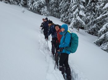 Percorso Racchette da neve La Chapelle-d'Abondance - Raquettes 4ème jour 12 km - Photo