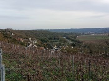 Excursión Senderismo Crouttes-sur-Marne - Crouttes-sur-Marne du 13-02-2022 - Photo