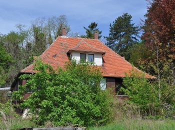 Tour Zu Fuß Bensheim - Rundwanderweg Bensheim Am Höllberg 2: Goldkauf-Weg - Photo